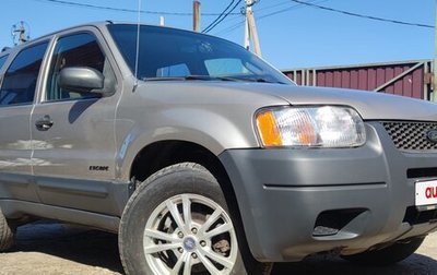 Ford Escape II, 2000 год, 490 000 рублей, 1 фотография