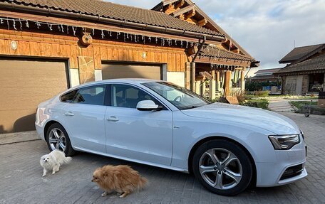 Audi A5, 2012 год, 1 790 000 рублей, 7 фотография