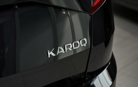 Skoda Karoq I, 2024 год, 3 765 000 рублей, 20 фотография