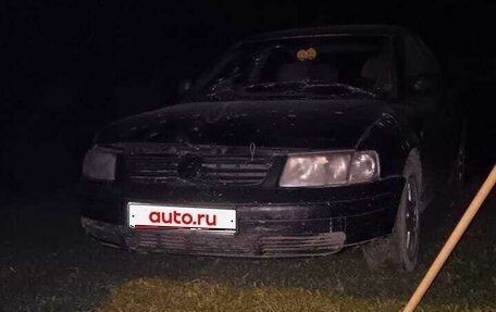Volkswagen Passat B5+ рестайлинг, 1997 год, 180 000 рублей, 1 фотография