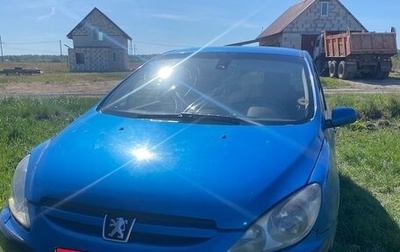 Peugeot 307 I, 2003 год, 300 000 рублей, 1 фотография