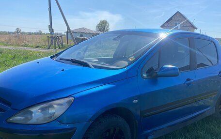 Peugeot 307 I, 2003 год, 300 000 рублей, 2 фотография