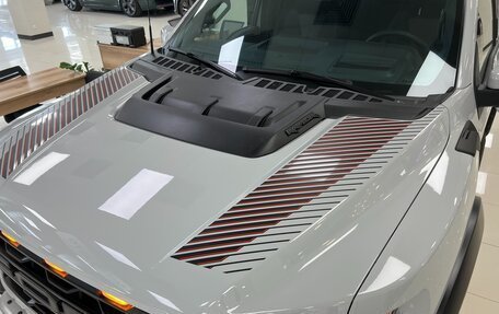 Ford F-150, 2024 год, 14 990 000 рублей, 2 фотография