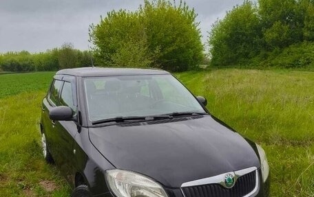 Skoda Fabia II, 2009 год, 560 000 рублей, 1 фотография