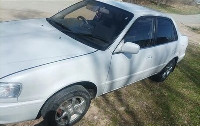 Toyota Corolla, 1998 год, 345 000 рублей, 1 фотография