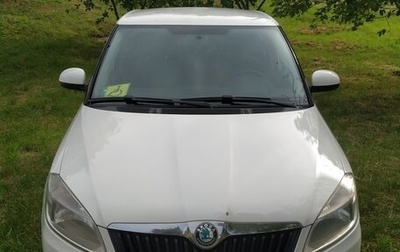 Skoda Fabia II, 2011 год, 710 000 рублей, 1 фотография