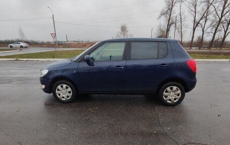 Skoda Fabia II, 2010 год, 585 000 рублей, 3 фотография