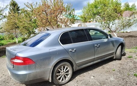Skoda Superb III рестайлинг, 2010 год, 800 000 рублей, 2 фотография