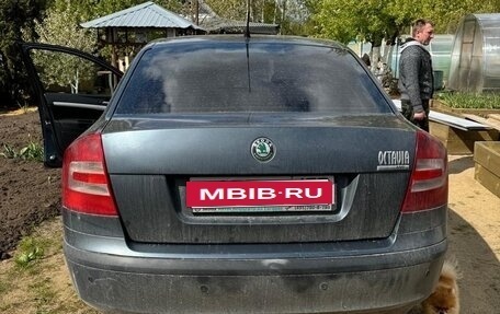 Skoda Octavia, 2005 год, 550 000 рублей, 8 фотография
