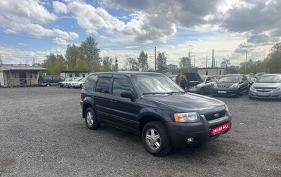 Ford Escape II, 2003 год, 389 700 рублей, 1 фотография