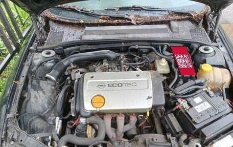 Opel Vectra B рестайлинг, 1998 год, 65 000 рублей, 10 фотография