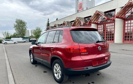 Volkswagen Tiguan I, 2012 год, 1 500 000 рублей, 6 фотография