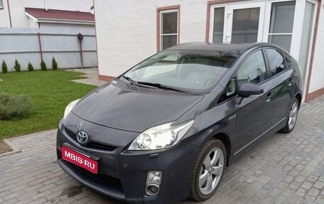 Toyota Prius, 2010 год, 1 300 000 рублей, 1 фотография