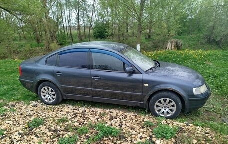 Volkswagen Passat B5+ рестайлинг, 1999 год, 280 000 рублей, 4 фотография