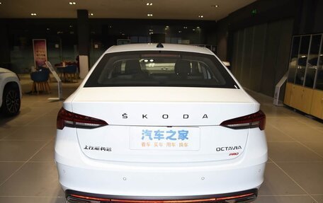Skoda Octavia IV, 2025 год, 3 100 000 рублей, 4 фотография
