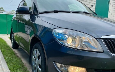 Skoda Fabia II, 2010 год, 680 000 рублей, 1 фотография