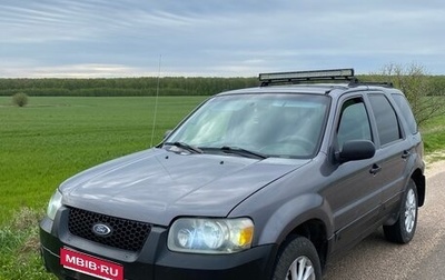 Ford Escape II, 2004 год, 550 000 рублей, 1 фотография