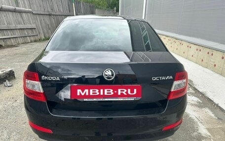 Skoda Octavia, 2016 год, 1 020 000 рублей, 3 фотография