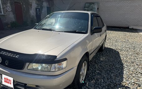 Toyota Corolla, 1998 год, 440 000 рублей, 3 фотография