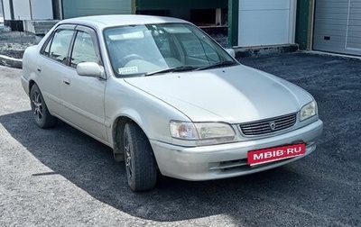 Toyota Corolla, 1999 год, 350 000 рублей, 1 фотография