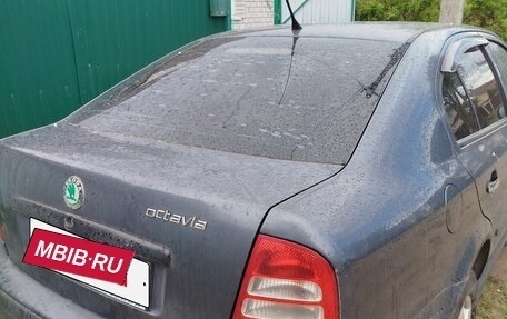 Skoda Octavia IV, 2007 год, 350 000 рублей, 28 фотография