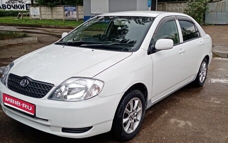 Toyota Corolla, 2003 год, 465 000 рублей, 1 фотография