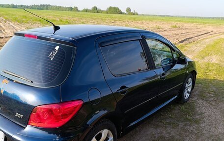 Peugeot 307 I, 2006 год, 340 000 рублей, 4 фотография