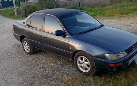 Toyota Corolla, 1992 год, 220 000 рублей, 2 фотография