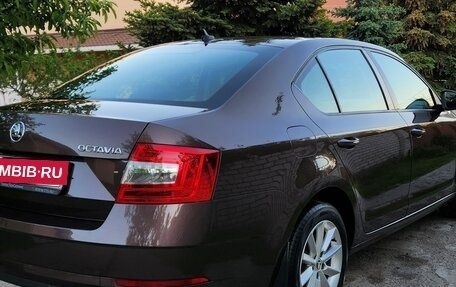 Skoda Octavia, 2019 год, 1 580 000 рублей, 5 фотография