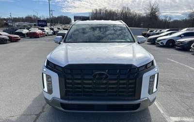 Hyundai Palisade I, 2024 год, 6 700 000 рублей, 1 фотография