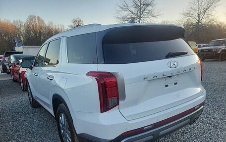 Hyundai Palisade I, 2024 год, 6 700 000 рублей, 6 фотография