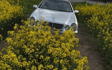Mercedes-Benz CLK-Класс, 1998 год, 450 000 рублей, 3 фотография