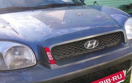 Hyundai Santa Fe III рестайлинг, 2001 год, 450 000 рублей, 3 фотография