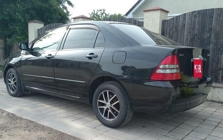 Toyota Corolla, 2003 год, 585 000 рублей, 3 фотография