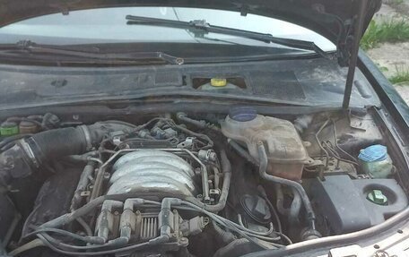 Volkswagen Passat B5+ рестайлинг, 2001 год, 315 000 рублей, 6 фотография