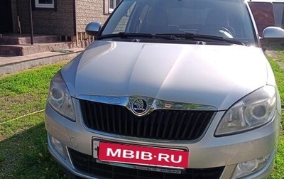Skoda Fabia II, 2013 год, 800 000 рублей, 1 фотография