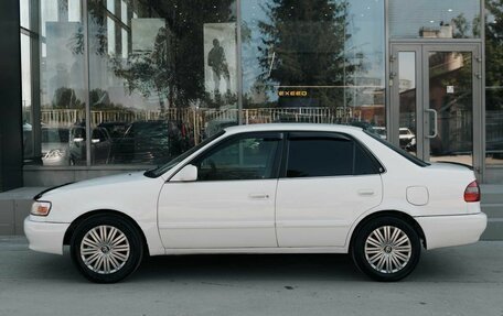 Toyota Corolla, 1998 год, 350 000 рублей, 8 фотография