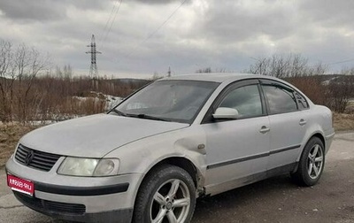 Volkswagen Passat B5+ рестайлинг, 1999 год, 220 000 рублей, 1 фотография