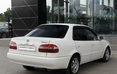 Toyota Corolla, 1999 год, 350 000 рублей, 5 фотография