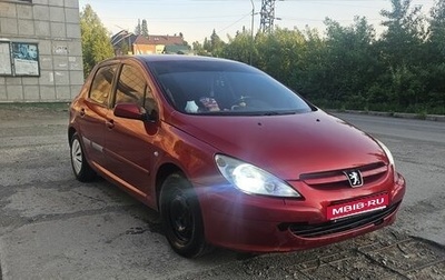 Peugeot 307 I, 2003 год, 380 000 рублей, 1 фотография