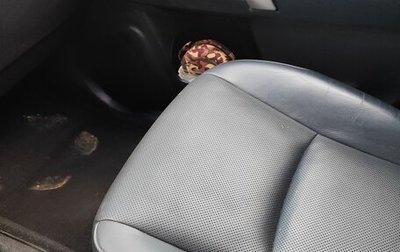Toyota Land Cruiser Prado 150 рестайлинг 2, 2019 год, 5 350 000 рублей, 1 фотография