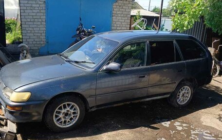 Toyota Corolla, 1995 год, 225 000 рублей, 3 фотография