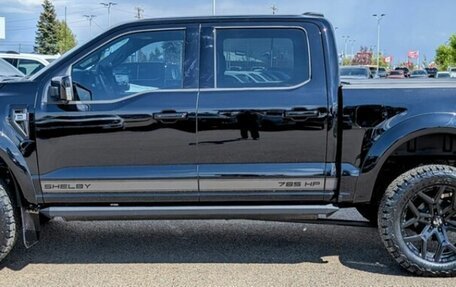 Ford F-150, 2024 год, 20 500 000 рублей, 4 фотография