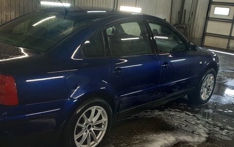 Volkswagen Passat B5+ рестайлинг, 2000 год, 550 000 рублей, 13 фотография