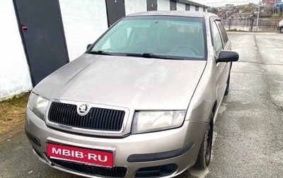 Skoda Fabia I, 2007 год, 450 000 рублей, 1 фотография
