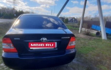 Toyota Corolla, 2003 год, 670 000 рублей, 8 фотография