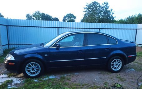 Volkswagen Passat B5+ рестайлинг, 2002 год, 500 000 рублей, 3 фотография