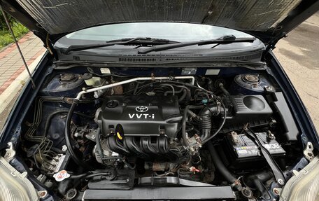 Toyota Corolla, 2003 год, 450 000 рублей, 20 фотография