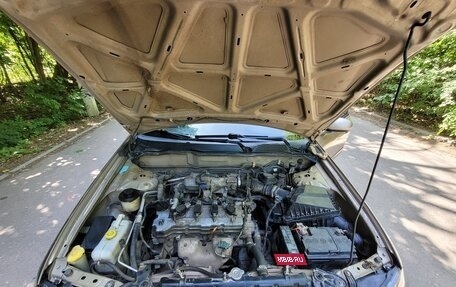 Nissan Almera, 2005 год, 300 000 рублей, 7 фотография