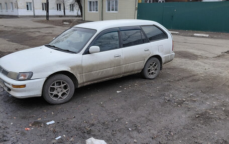 Toyota Corolla, 2001 год, 265 000 рублей, 2 фотография
